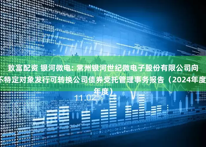 致富配资 银河微电: 常州银河世纪微电子股份有限公司向不特定对象发行可转换公司债券受托管理事务报告(2024年度)