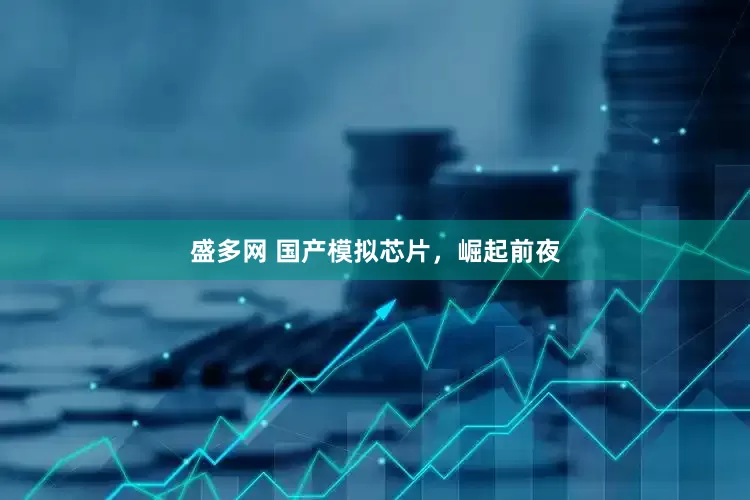 盛多网 国产模拟芯片，崛起前夜