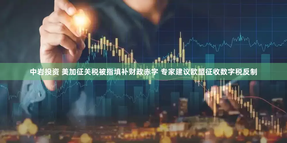 中岩投资 美加征关税被指填补财政赤字 专家建议欧盟征收数字税反制