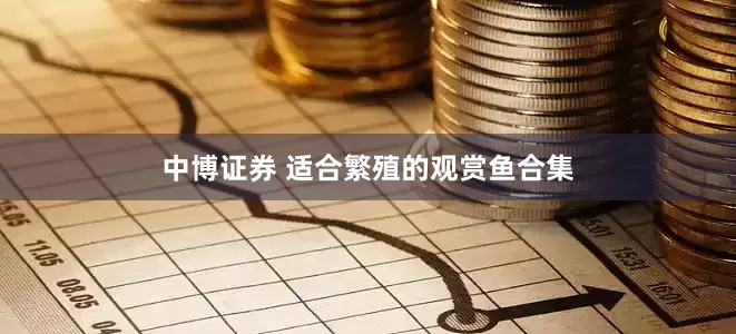 中博证券 适合繁殖的观赏鱼合集