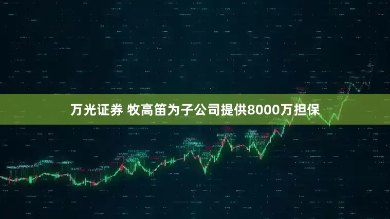 万光证券 牧高笛为子公司提供8000万担保